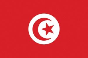 International Courier Mumbai To Tunisia
